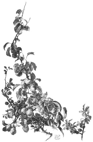 "THE HEDGE-ROWS WERE FULL, AS THEY ARE TO THIS DAY, OF
WILD APPLES, WILD PEARS, AND 'CRABS.'"