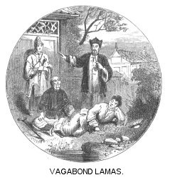 Vagabond Lamas