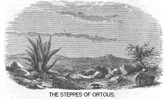 The Steppes of Ortous