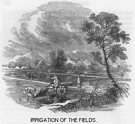 Irrigation of the Fields