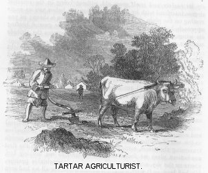 Tartar Agriculture