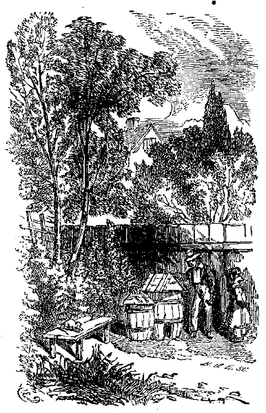 The Rabbit House. Illustration.