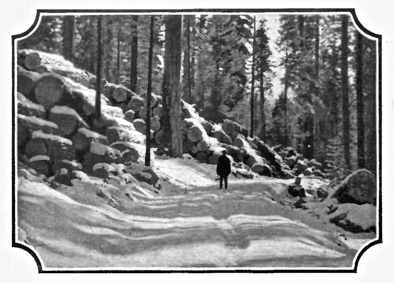 Logging Road near Westwood, California. White Pine and
Old Fashioned Winters made Paul Bunyan feel at home.