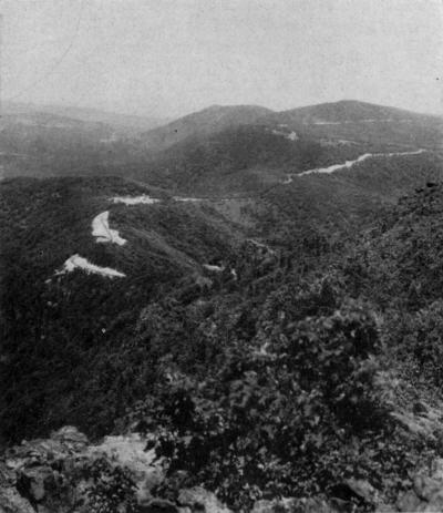View Along the Skyline Drive in the
Shenandoah National Park