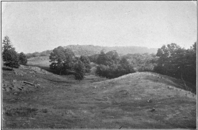 Plate I. View south on the highland northeast of Neversink Pond.