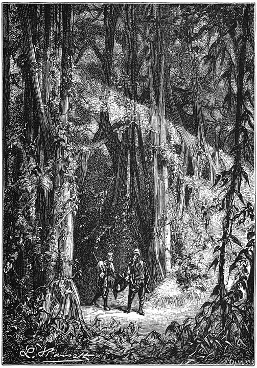 Zij droegen Go&ucirc;mi in hunne armen. Blz. 148.