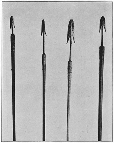 Bontoc war spears (fal-fĕg′)