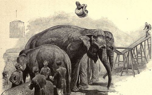 "FOUR ELEPHANTS WAS ENOUGH FOR ANY MAN TO LEAP OVER."