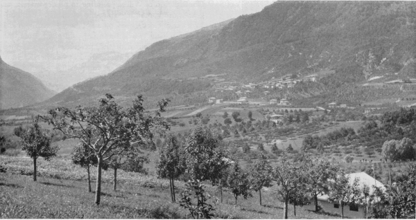 Figure 3.—Panorama of the village of Mechel in the
valley of the Non, birthplace of Father Borghesi.