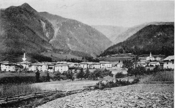 Figure 5.—The village of Mocenigo di Rumo in the valley
of the Non. Arrow points to Bertolla's home and workshop at far left.