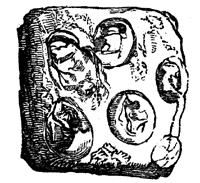 Fossil eggs of turtles from the
Island of Ascension.