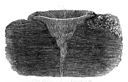 Section of one of the circular hollows formed in the plain of Rosarno.