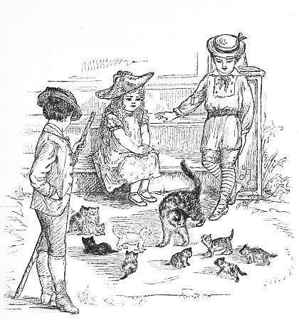 "Mammy Tittleback walked round and round, looking much perplexed and not
at all pleased."&mdash;Page 28.