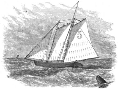 A small sailing boat