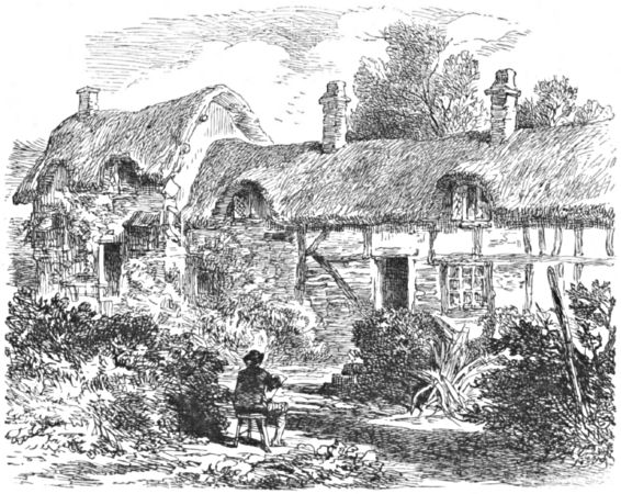 A thatched cottage and garden