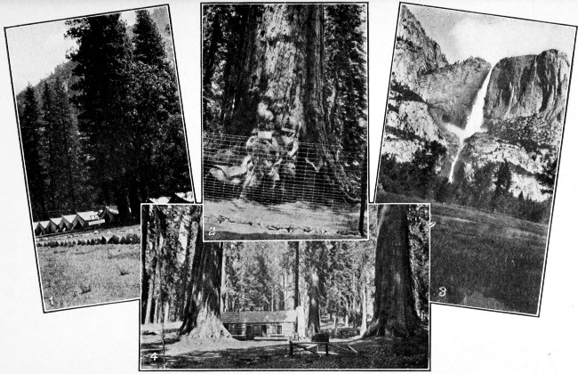 1. Camp Ahwahnee, Yosemite Valley. 2. Grizzly Giant,
Mariposa Big Trees. 3. Yosemite Falls. 4. Cabin in Mariposa Grove.