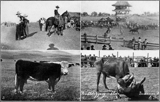1. and 2. Cowboy Rodeo, Stockton, Cal. 3. Hereford Bull,
Wyoming. 4. Cowboy Rodeo, Laramie, Wyoming.
