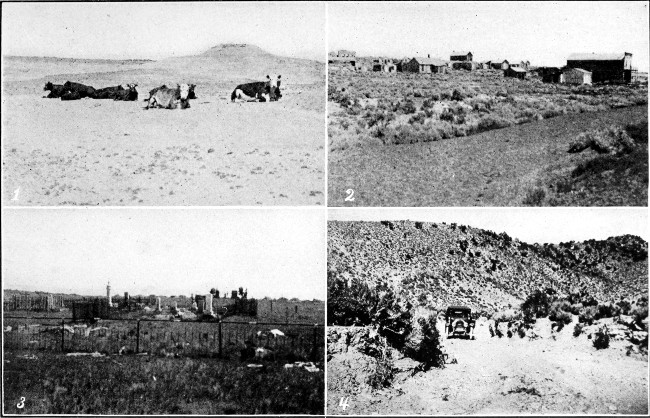 1. Cattle on Nevada Desert. 2. Deserted Mining Town in
Nevada. 3. Mining town Cemetery in Nevada. 4. In the Nevada Desert.