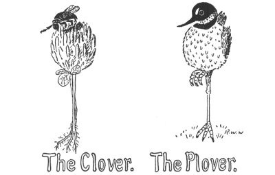 The Clover. The Plover.