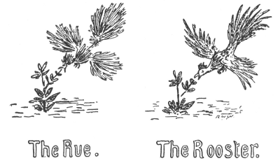 The Rue. The Rooster.