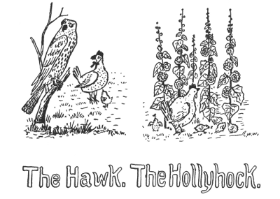 The Hawk. The Hollyhock.