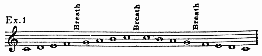 musical notation: Ex. 1