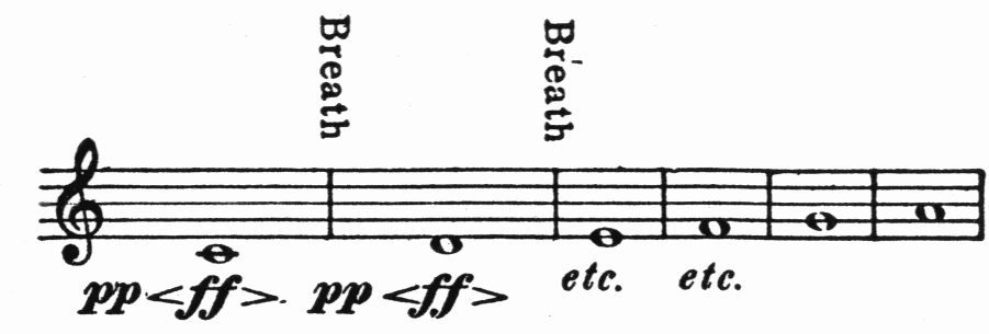 musical notation: Sing with great attention to intonation.