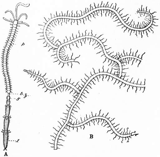 4-H Workshop: Budding Botanist  Saint Ignace Chamber of Commerce