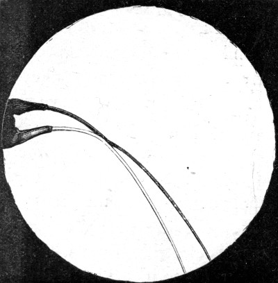 Fig. 44.