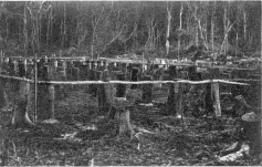 "The Hotel."
Photograph by V. K. Van De Venter, Jan. 23, 1900.