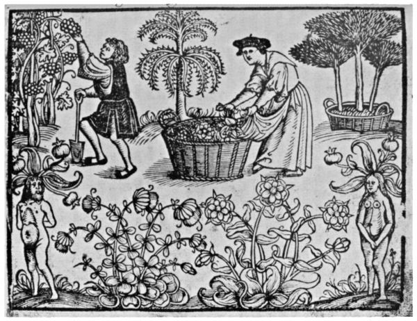 People gathering fruit and flowers