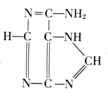 Adenine