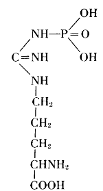 Arginine Phosphate