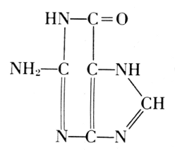 Guanine