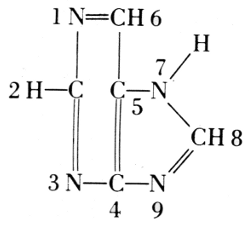 Purine