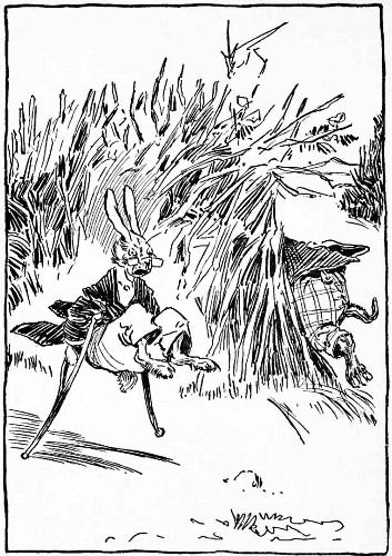 "MY TWENTY-FIRST GREAT-GREAT-GRANDFATHER COULD NOT RUN
VERY FAST."