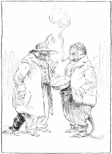 "OH," SAID MR. 'COON, "I HOPE YOU'RE NOT GOING TO CUT
THEM."