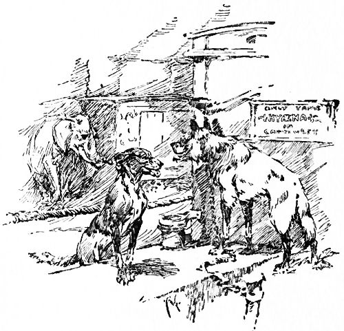 HE LOOKED SMILING AND GOOD-NATURED, AND I WENT OVER TO
ASK HIM SOME QUESTIONS