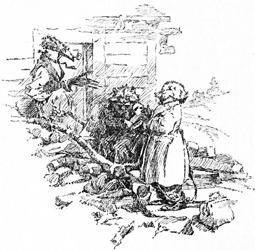 THEY SAW MR. CROW OUT IN THE YARD CUTTING WOOD FOR HIS
MOTHER-IN-LAW