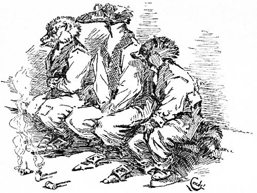 MR. 'POSSUM SAID IT MIGHT BE A GOOD ENOUGH STORY, BUT IT
COULDN'T BE TRUE