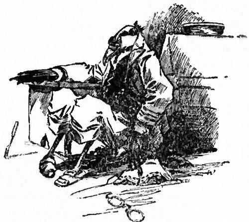 THE GREEDY OLD RAVEN, BUT GREEDY NO MORE