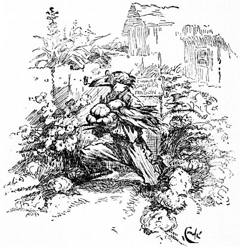 MR. CROW DECIDED TO THIN OUT A FEW OF JACK RABBIT'S
THINGS