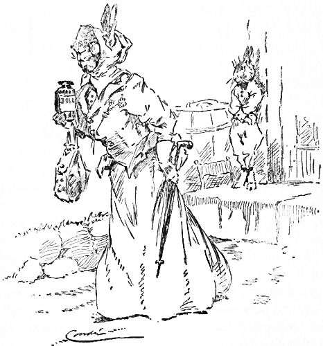 TOOK HER PARASOL AND HER RETICULE AND A CAN OF BERRIES,
AND STARTED