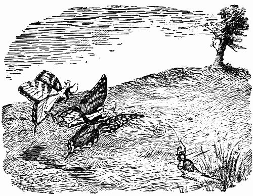 Fig. 24.—Bruce and Blythe on Their Way to Hilltop. Pixie Attus Tries to Lasso Them.