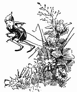 Fig. 31.—"He Jumped from the Weed Top."