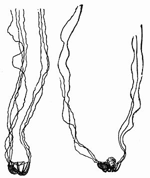 Fig. 57.—"A Balloon Hung Overhead."