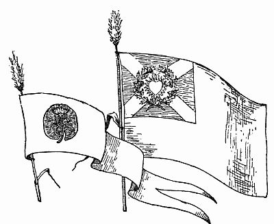 Fig. 79.—Brownie Flag and Pennant.