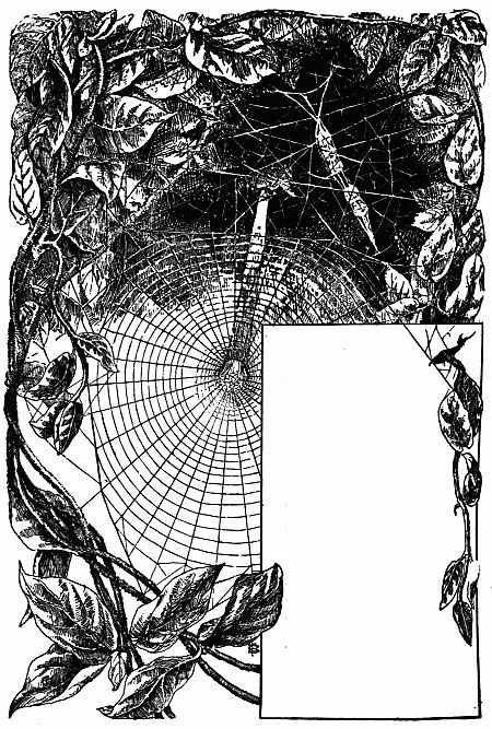 Fig. 100.—Labyrinthea's Snare and Cocoons. Where is Dodge's Jail?