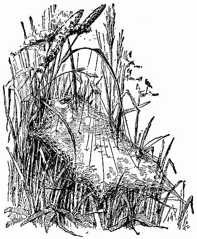 Fig. 102.—"Abandoned Snares."