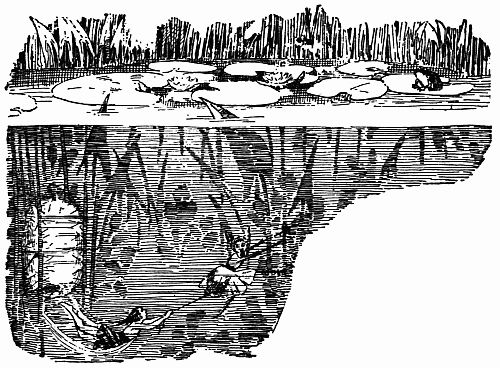 Fig. 106.—Pipe's Escape from the Water Pixie's Den.